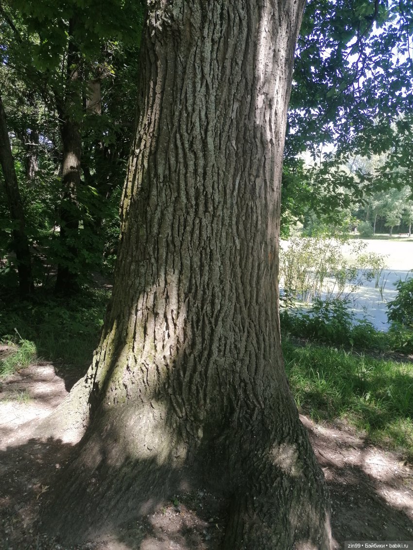 Куклы Rainbow high, Амайя