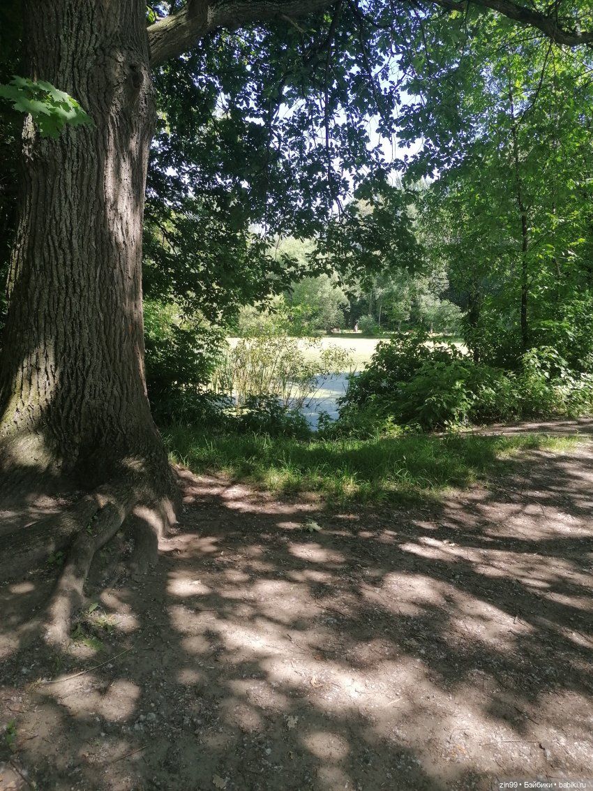 Куклы Rainbow high, Амайя