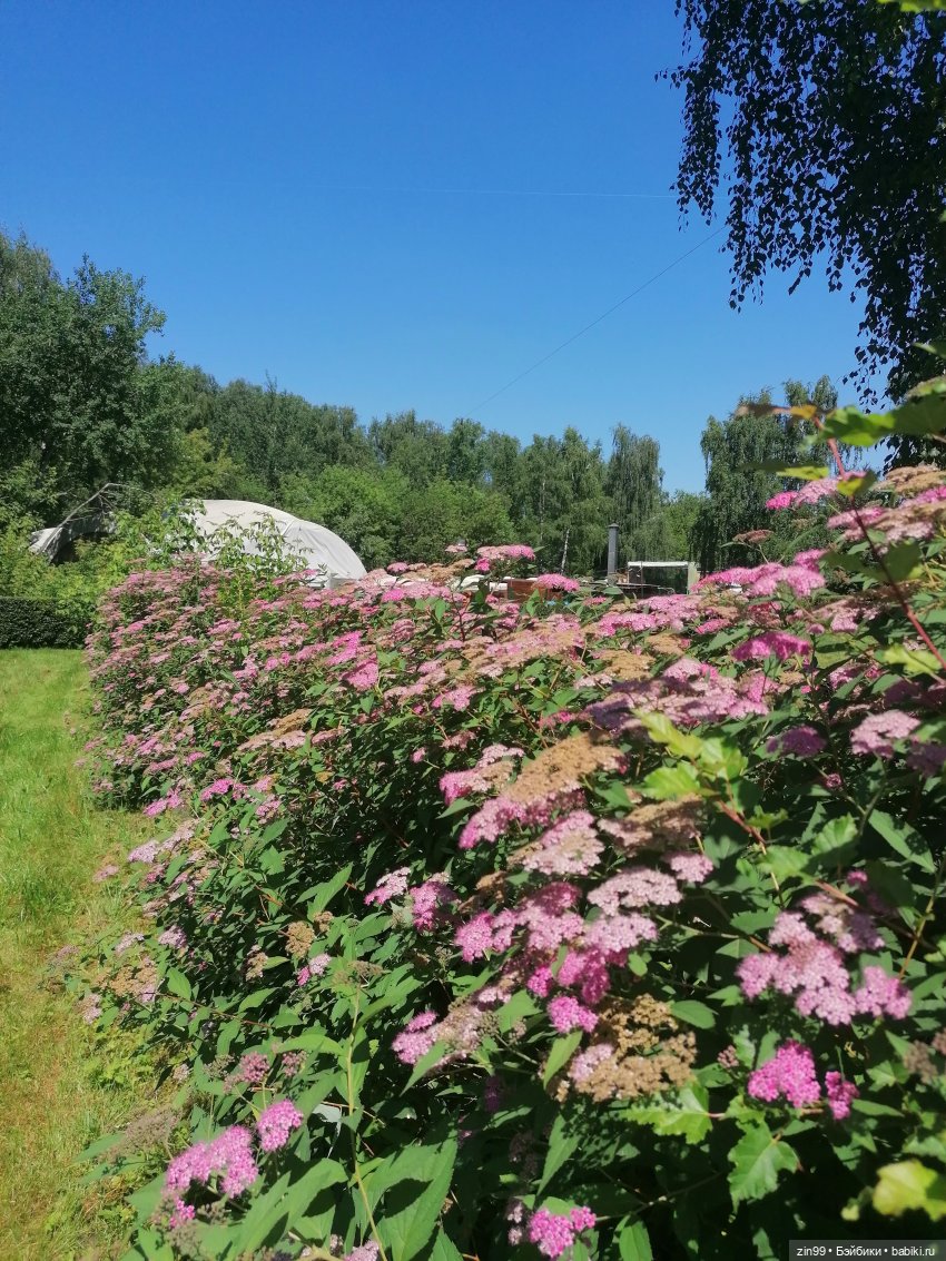 Куклы Rainbow high, Амайя