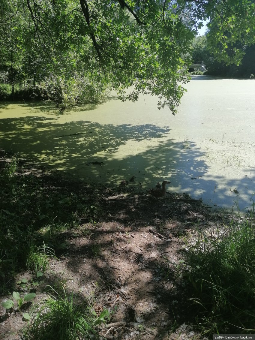 Куклы Rainbow high, Амайя