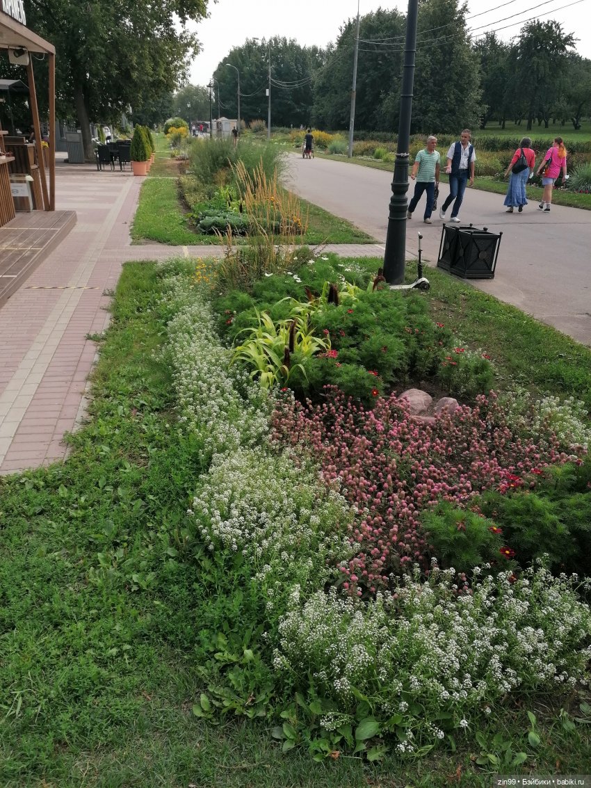 В Коломенское с Баболи за медом (фото 8)