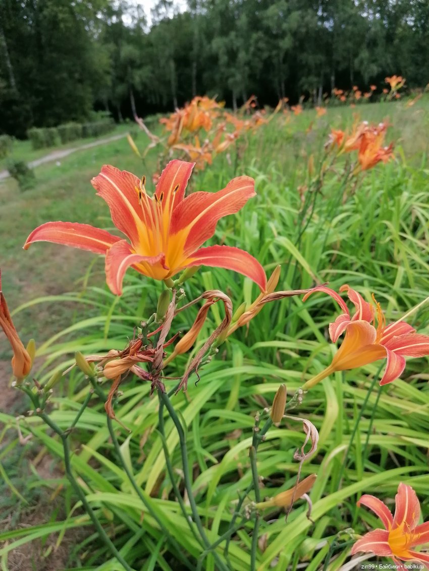 Куклы Rainbow high, RIVER Kendall
