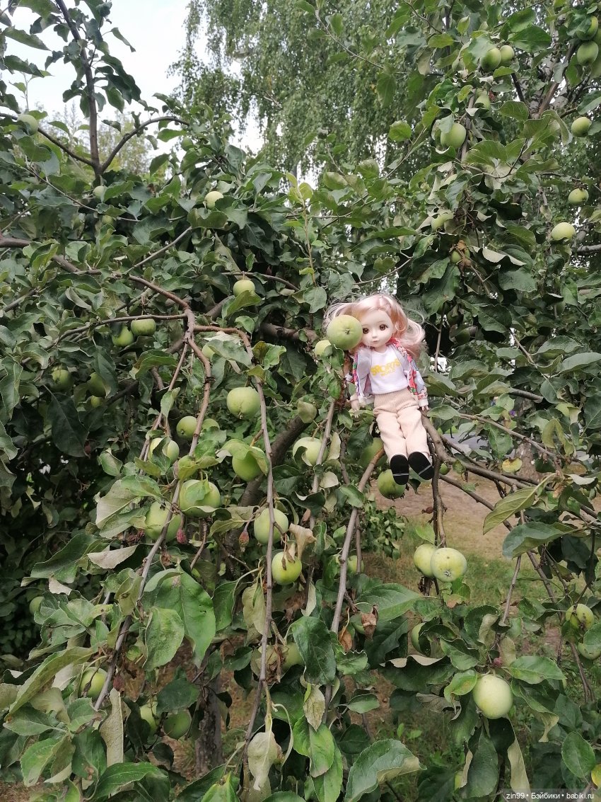 В Коломенское с Баболи за медом