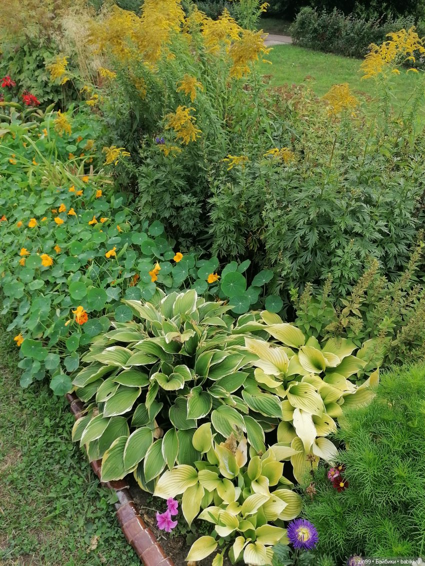 В Коломенское с Баболи за медом