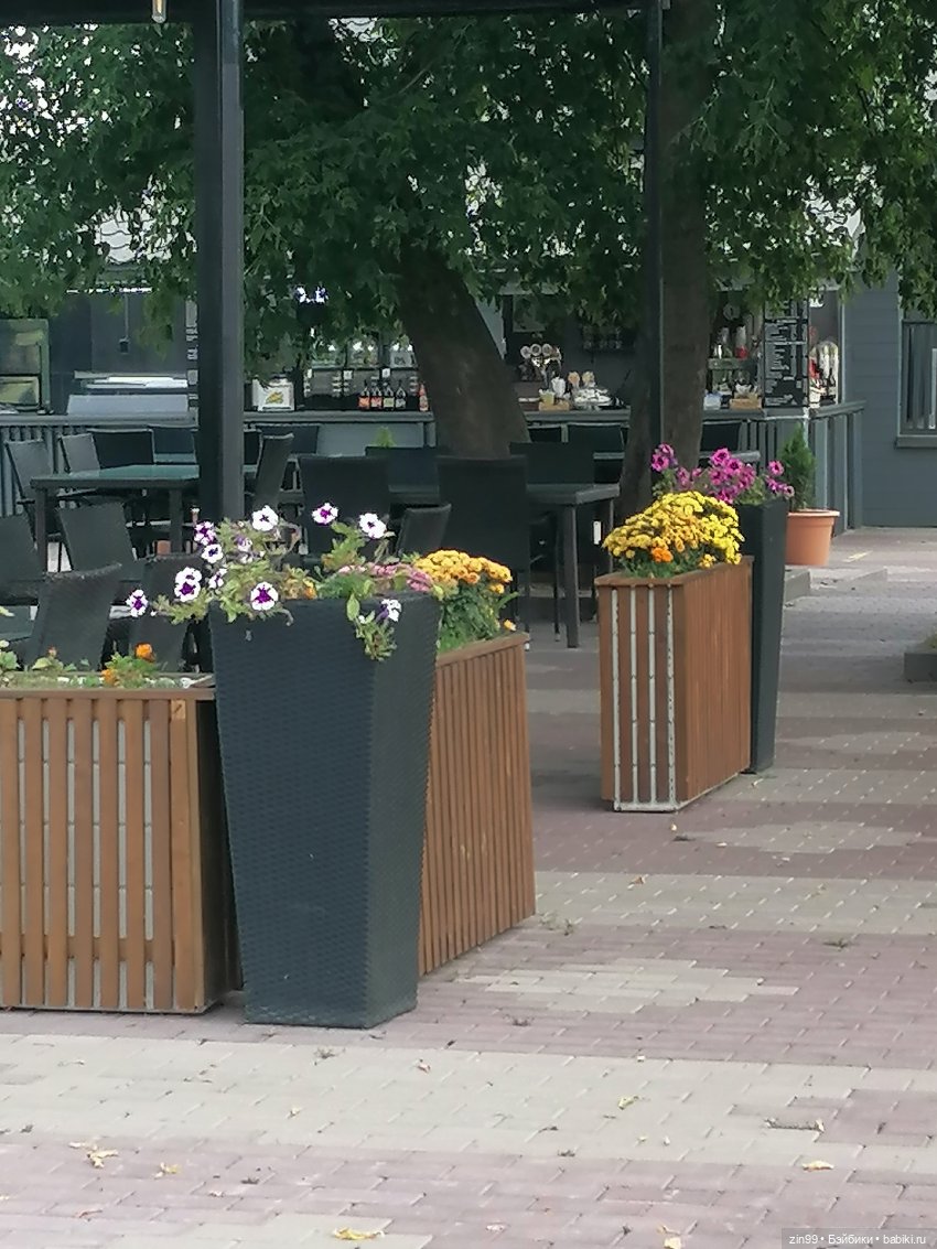 В Коломенское с Баболи за медом