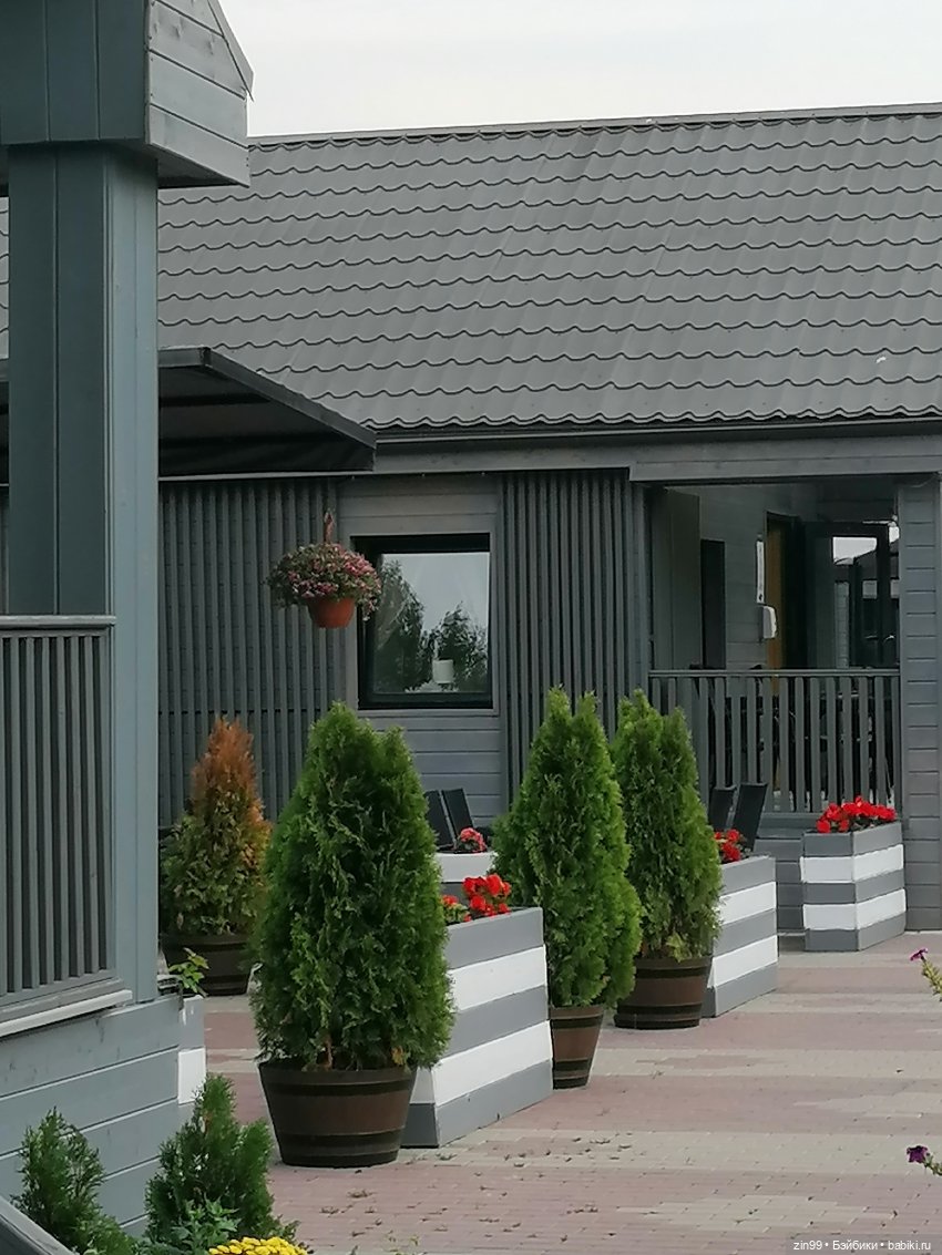 В Коломенское с Баболи за медом