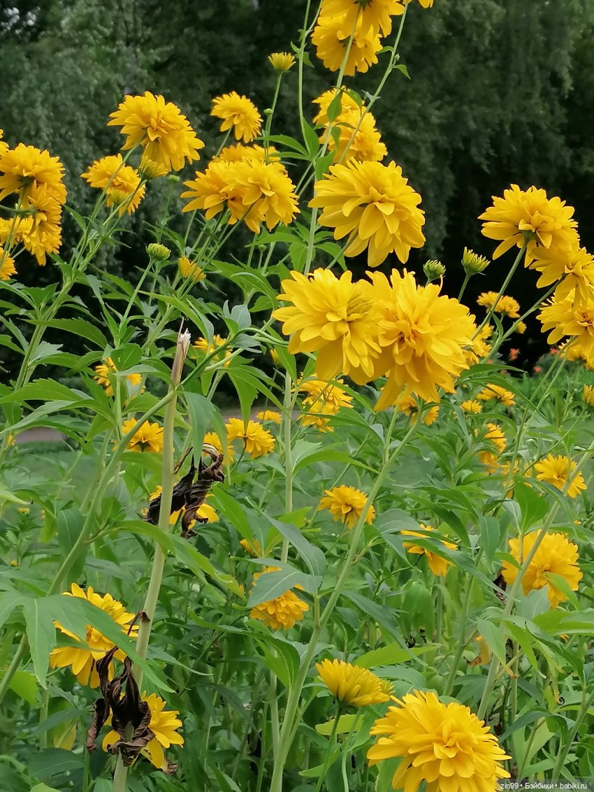 Куклы Rainbow high, RIVER Kendall