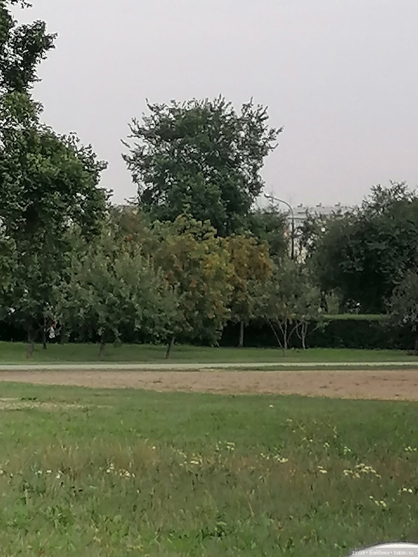 В Коломенское с Баболи за медом