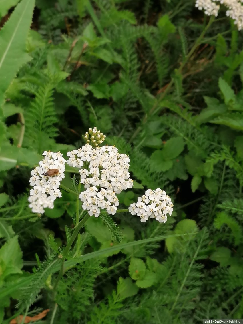 Куклы Rainbow high, RIVER Kendall