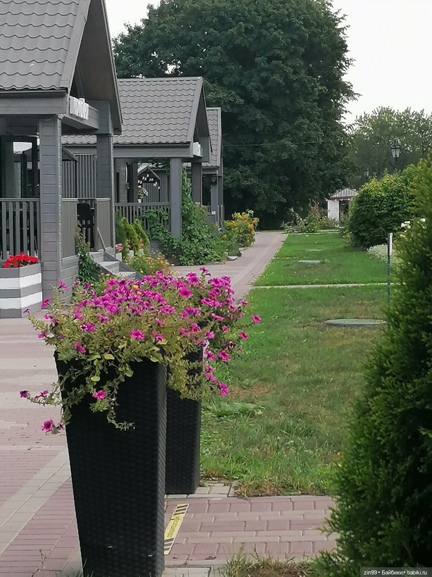 В Коломенское с Баболи за медом