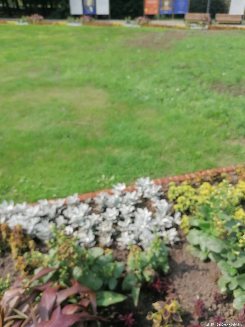 В Коломенское с Баболи за медом (фото 4)