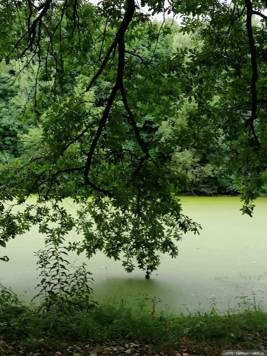 Куклы Rainbow high, RIVER Kendall