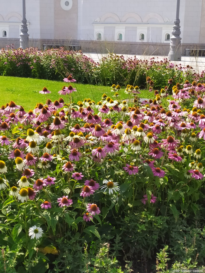 ВДНХ Август. Куклы Rainbow high - Рейнбоу Хай