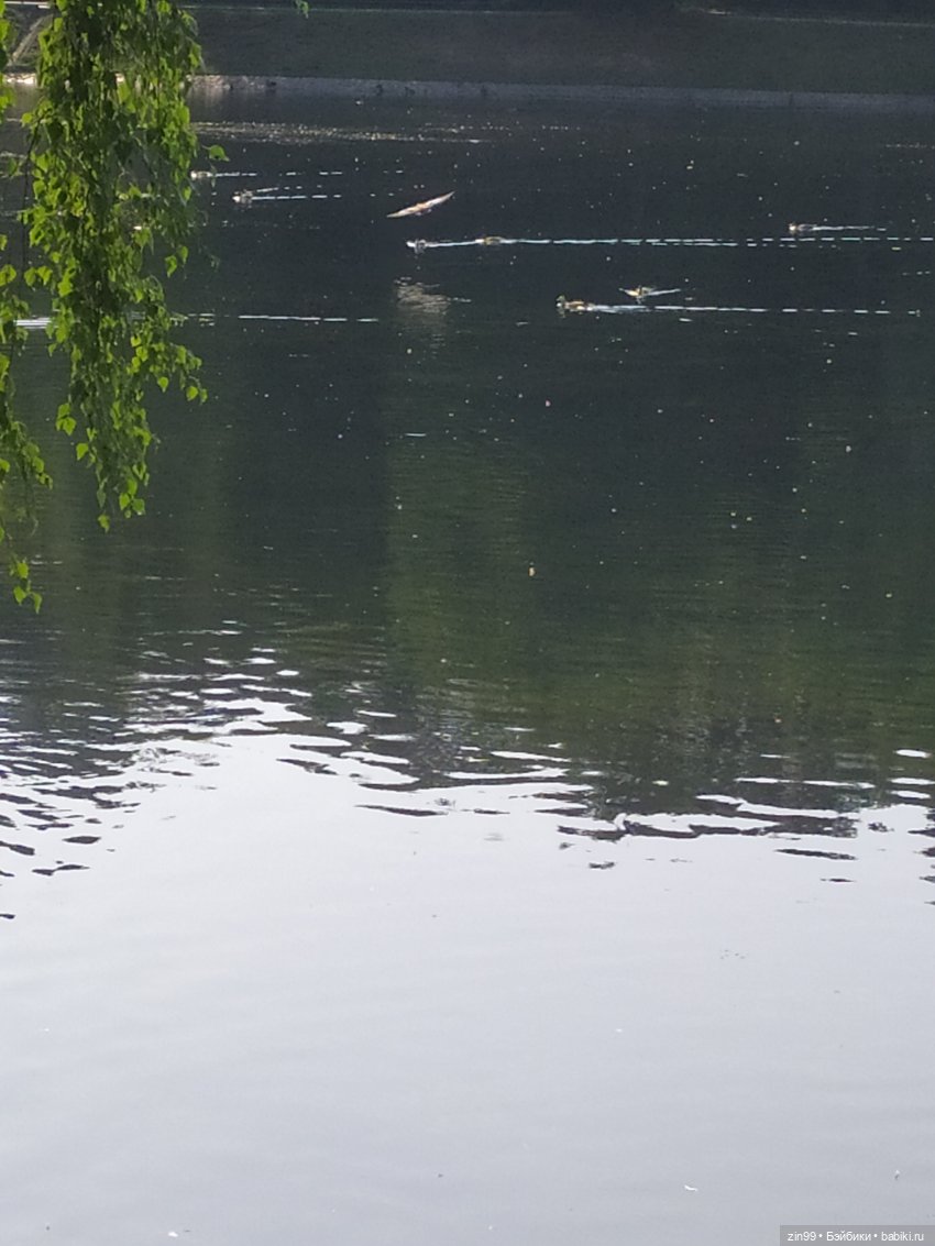 ВДНХ Август. Куклы Rainbow high - Рейнбоу Хай