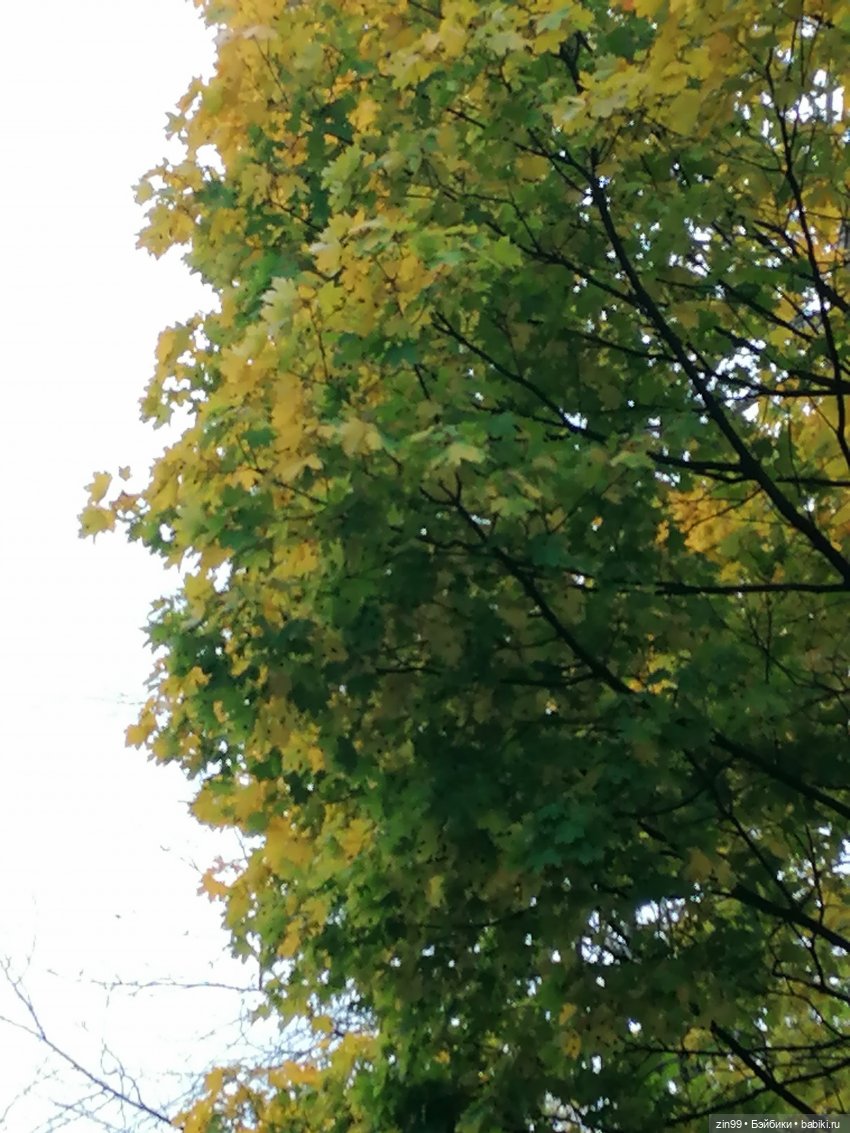 Радуга дугой? Куклы Rainbow High