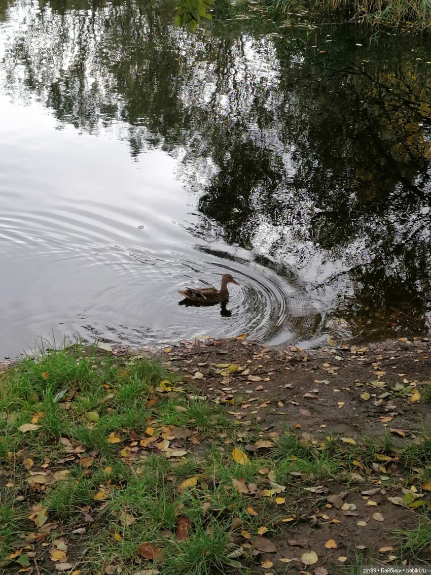 Радуга дугой? Куклы Rainbow High