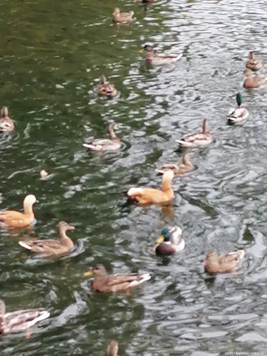 Радуга дугой? Куклы Rainbow High