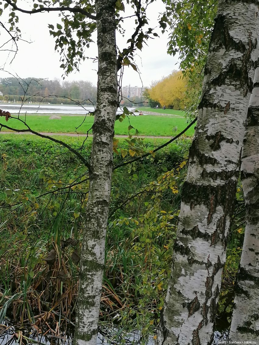 Радуга дугой? Куклы Rainbow High