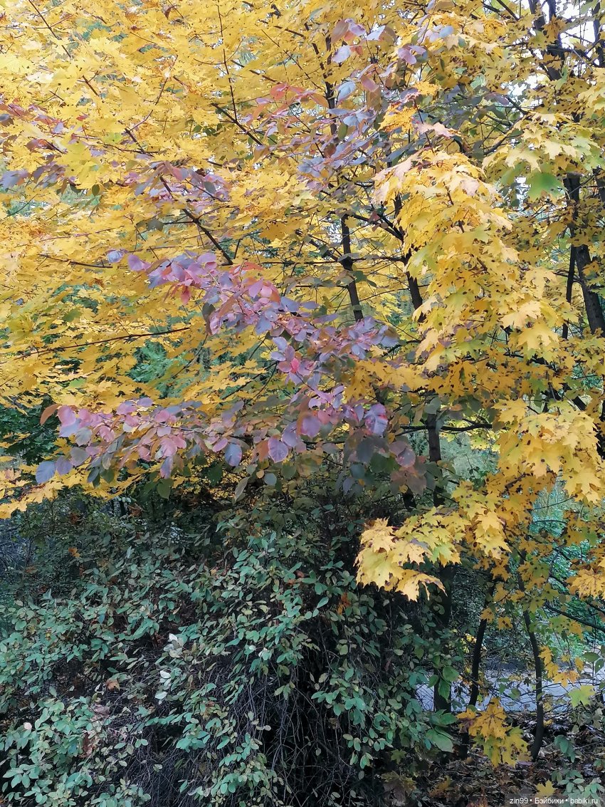 Радуга дугой? Куклы Rainbow High