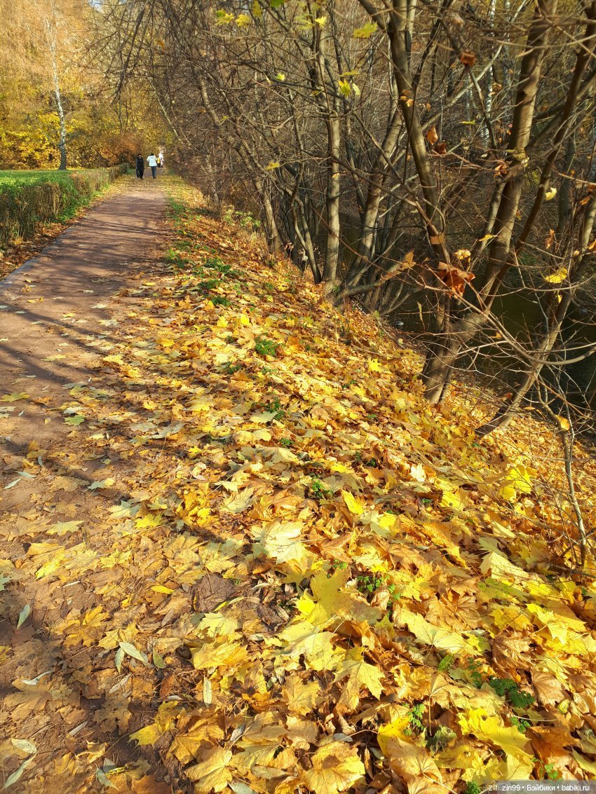 Осень золотая в октябре, в парках Москвы