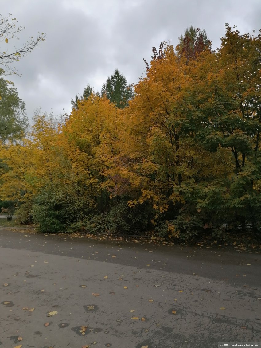 Осень золотая в октябре, в парках Москвы
