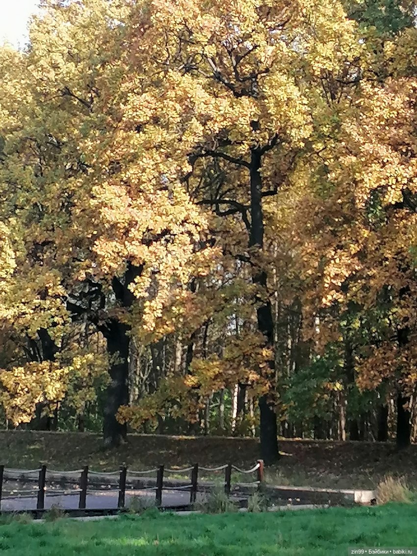 Осень золотая в октябре, в парках Москвы