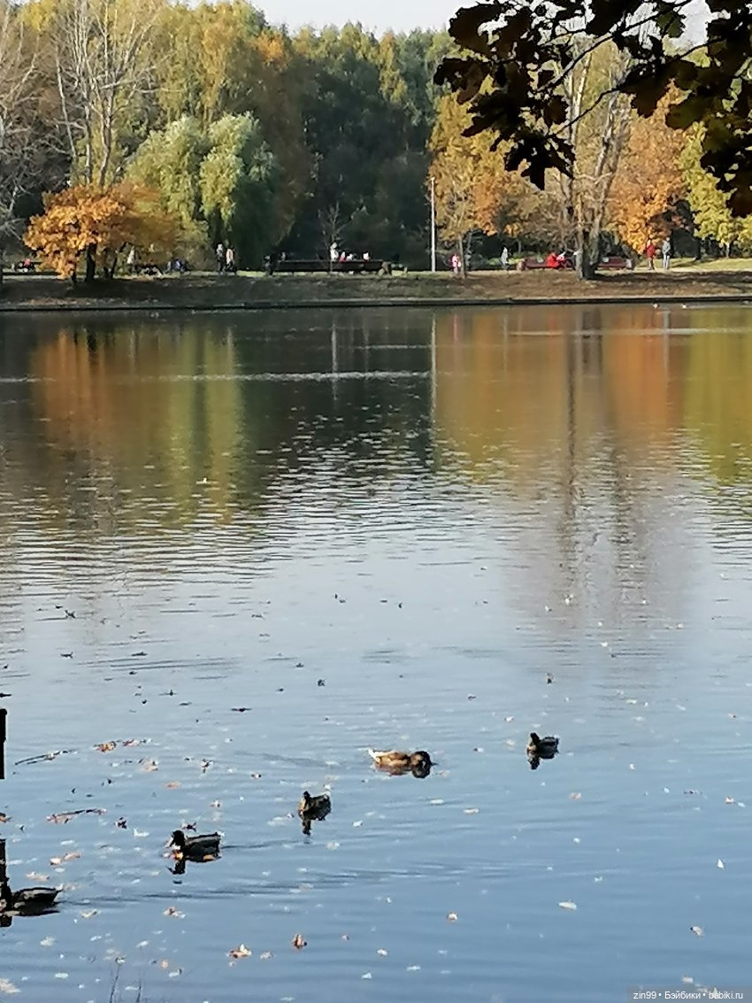 Осень золотая в октябре, в парках Москвы