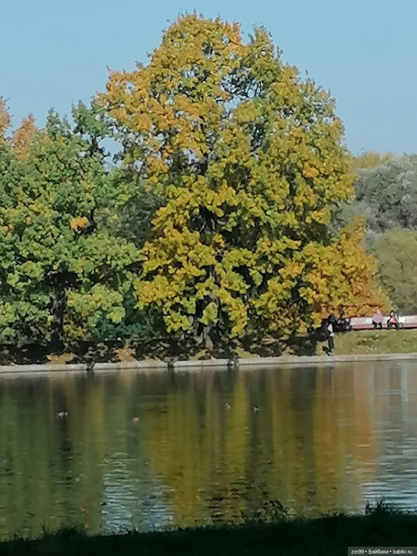 Осень золотая в октябре, в парках Москвы