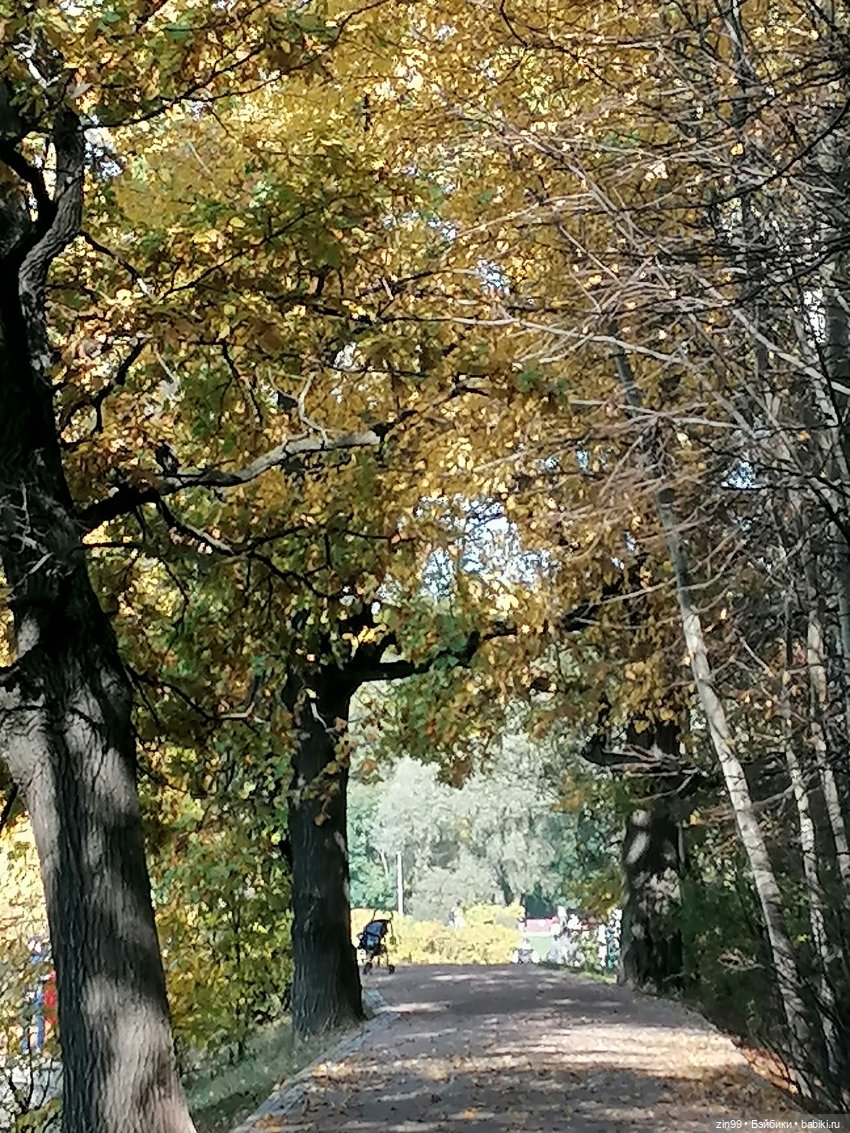 Осень золотая в октябре, в парках Москвы