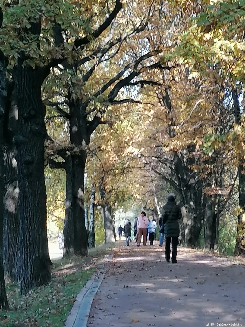 Осень золотая в октябре, в парках Москвы
