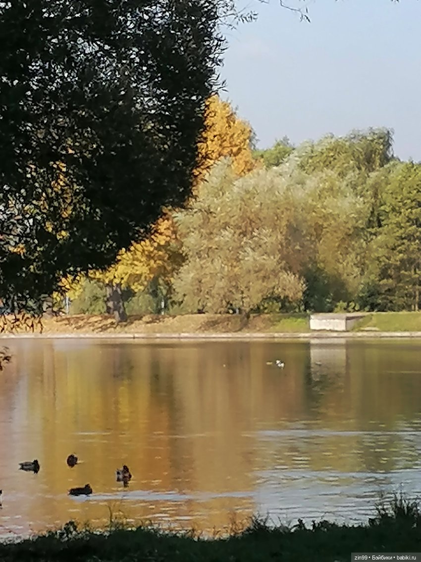Осень золотая в октябре, в парках Москвы