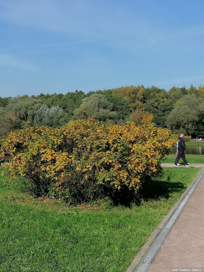 Осень золотая в октябре, в парках Москвы