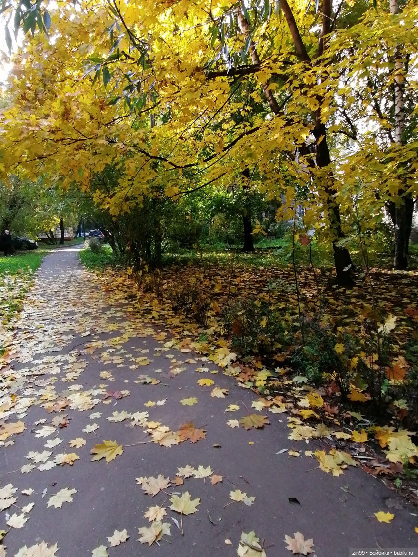 Осень золотая в октябре, в парках Москвы
