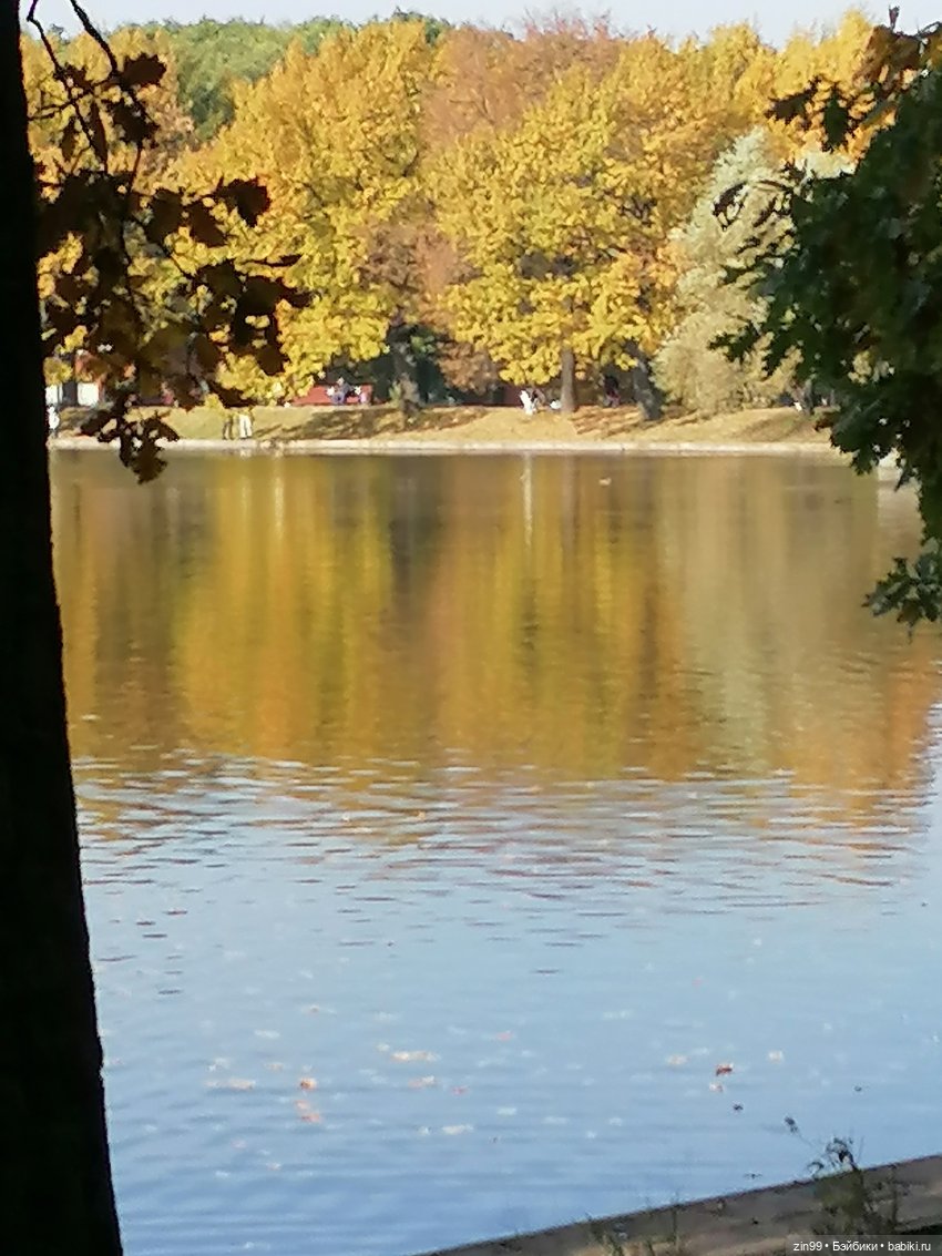 Осень золотая в октябре, в парках Москвы