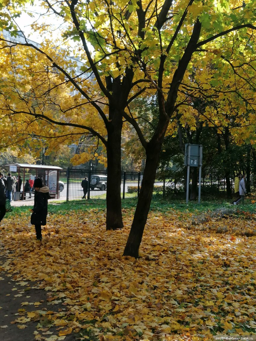 Осень золотая в октябре, в парках Москвы