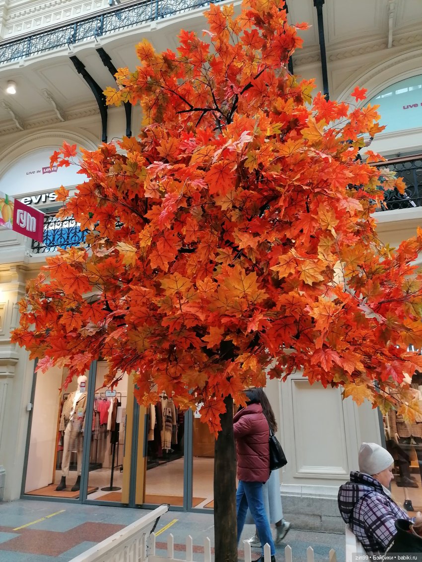 Осень в центре Москвы и на Манеже тоже | Бэйбики Осень в центре Москвы и на Манеже тоже
