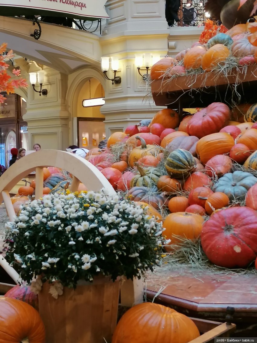 Осень в центре Москвы и на Манеже тоже | Бэйбики Осень в центре Москвы и на Манеже тоже
