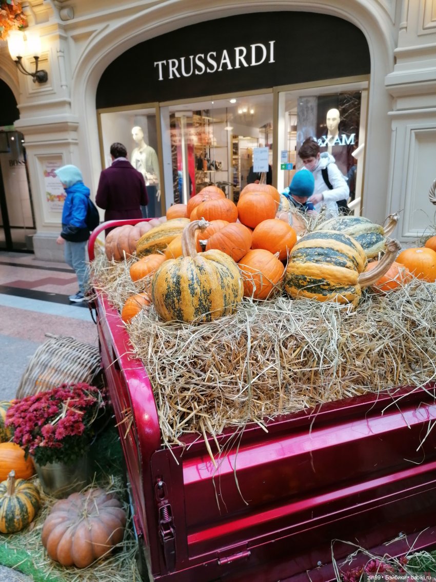Осень в центре Москвы и на Манеже тоже | Бэйбики Осень в центре Москвы и на Манеже тоже