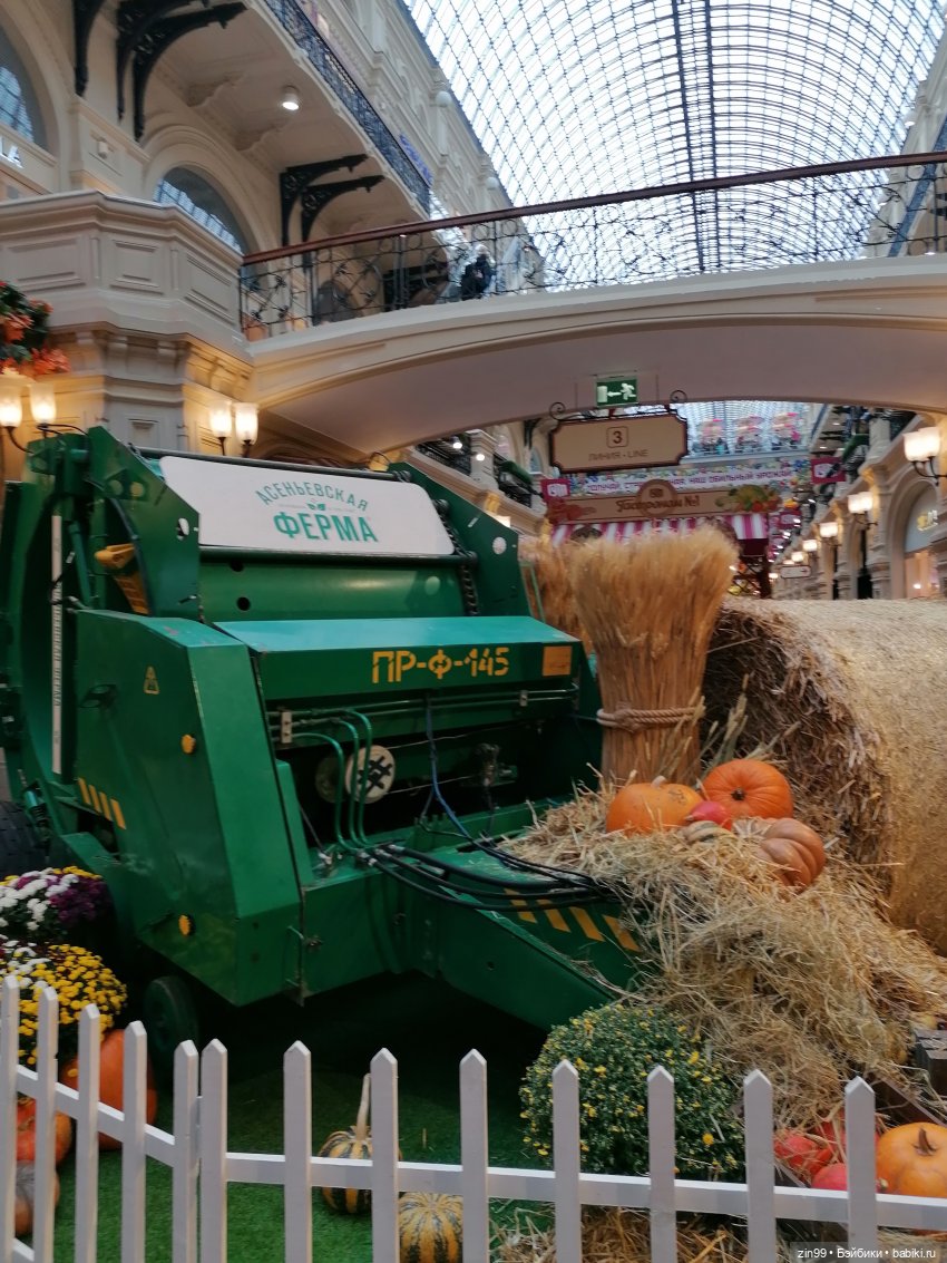 Осень в центре Москвы и на Манеже тоже | Бэйбики Осень в центре Москвы и на Манеже тоже