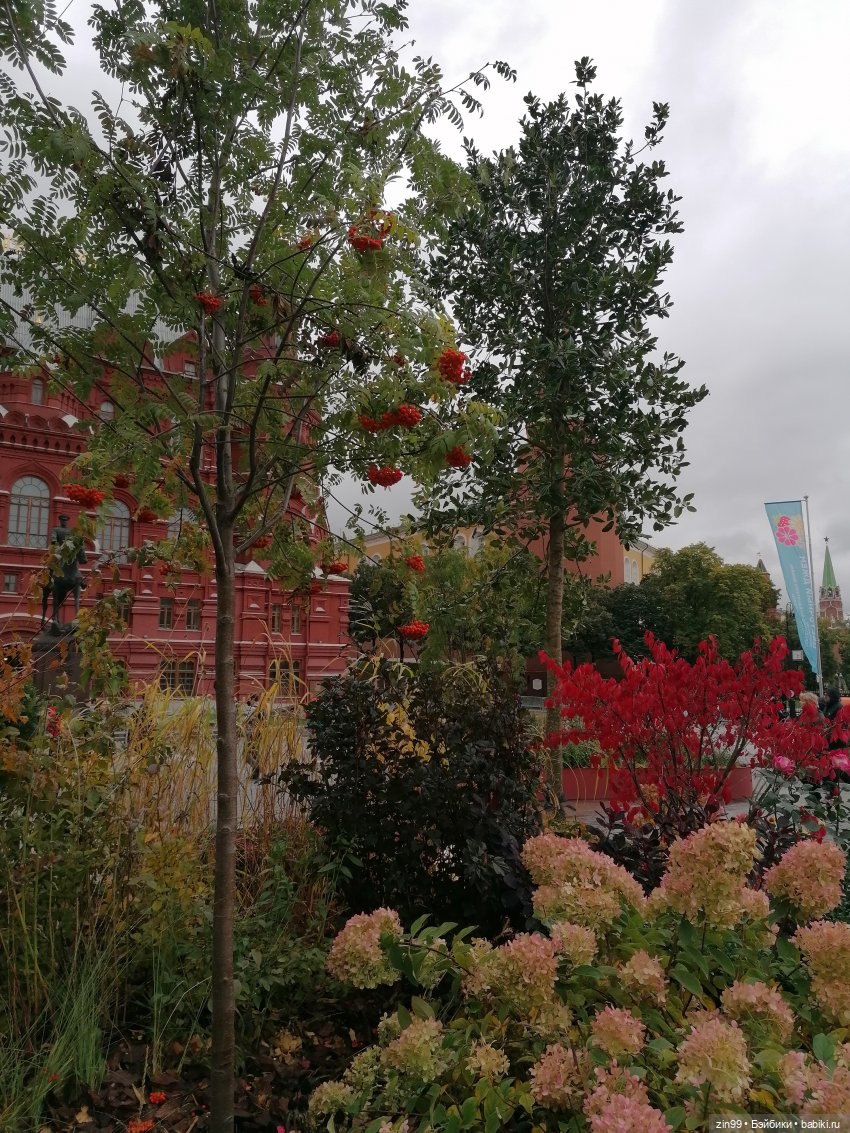 Осень в центре Москвы и на Манеже тоже | Бэйбики Осень в центре Москвы и на Манеже тоже