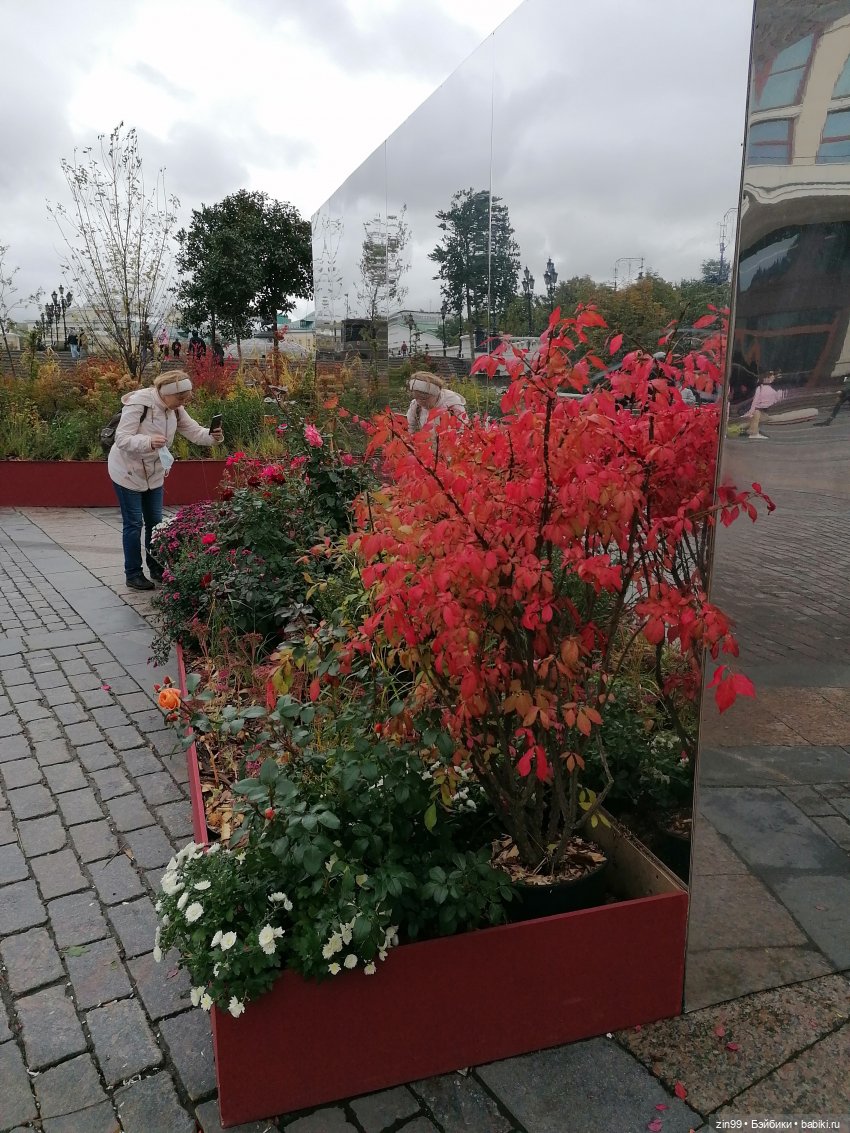 Осень в центре Москвы и на Манеже тоже | Бэйбики Осень в центре Москвы и на Манеже тоже