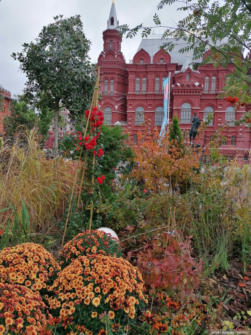 Осень в центре Москвы и на Манеже тоже | Бэйбики Осень в центре Москвы и на Манеже тоже