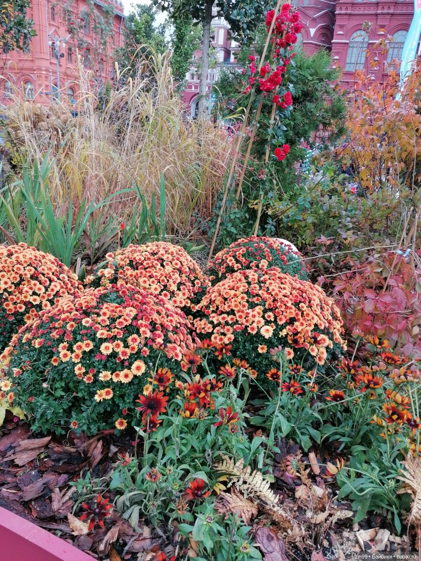 Осень в центре Москвы и на Манеже тоже | Бэйбики Осень в центре Москвы и на Манеже тоже (фото 10)