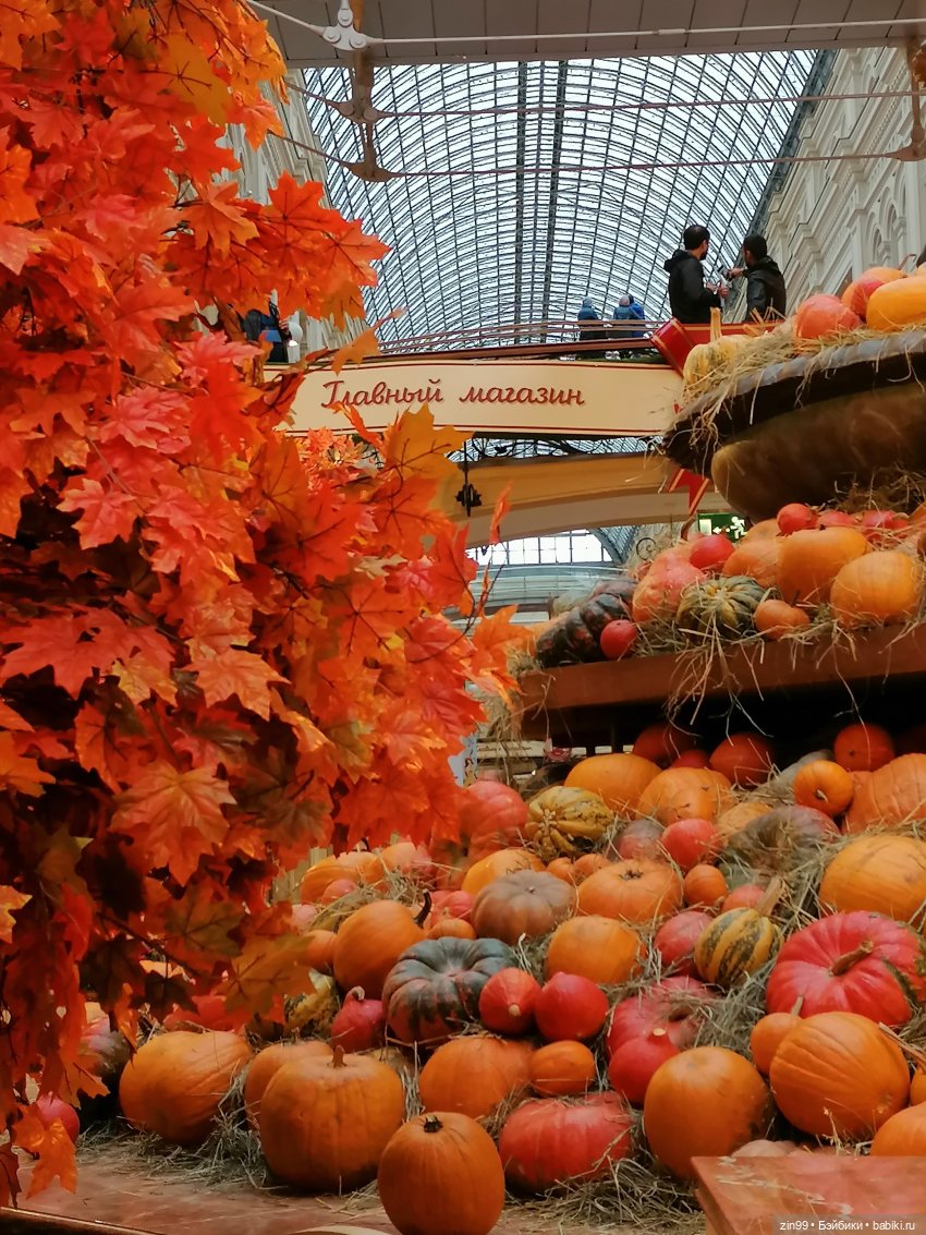 Осень в центре Москвы и на Манеже тоже | Бэйбики Осень в центре Москвы и на Манеже тоже
