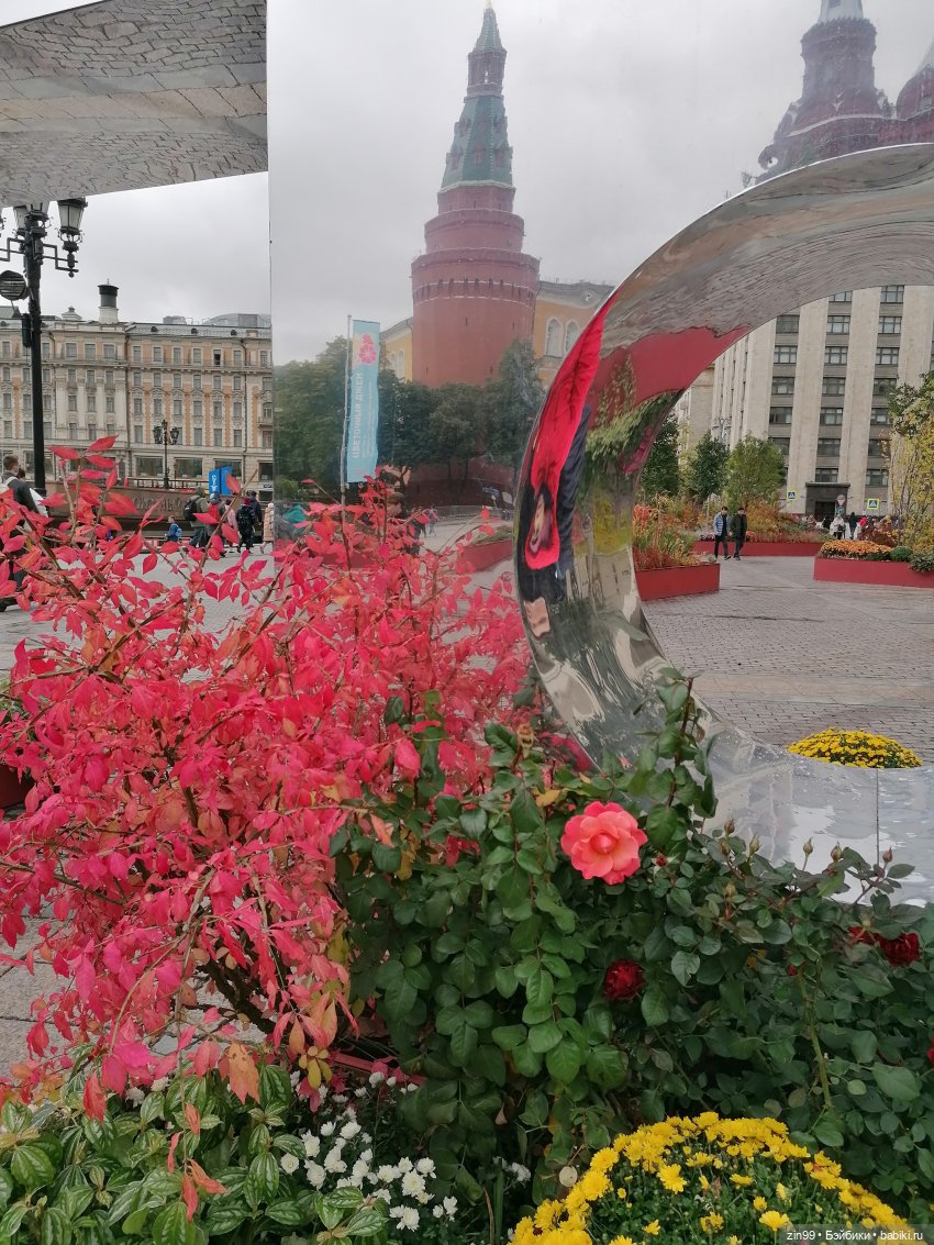 Осень в центре Москвы и на Манеже тоже | Бэйбики Осень в центре Москвы и на Манеже тоже