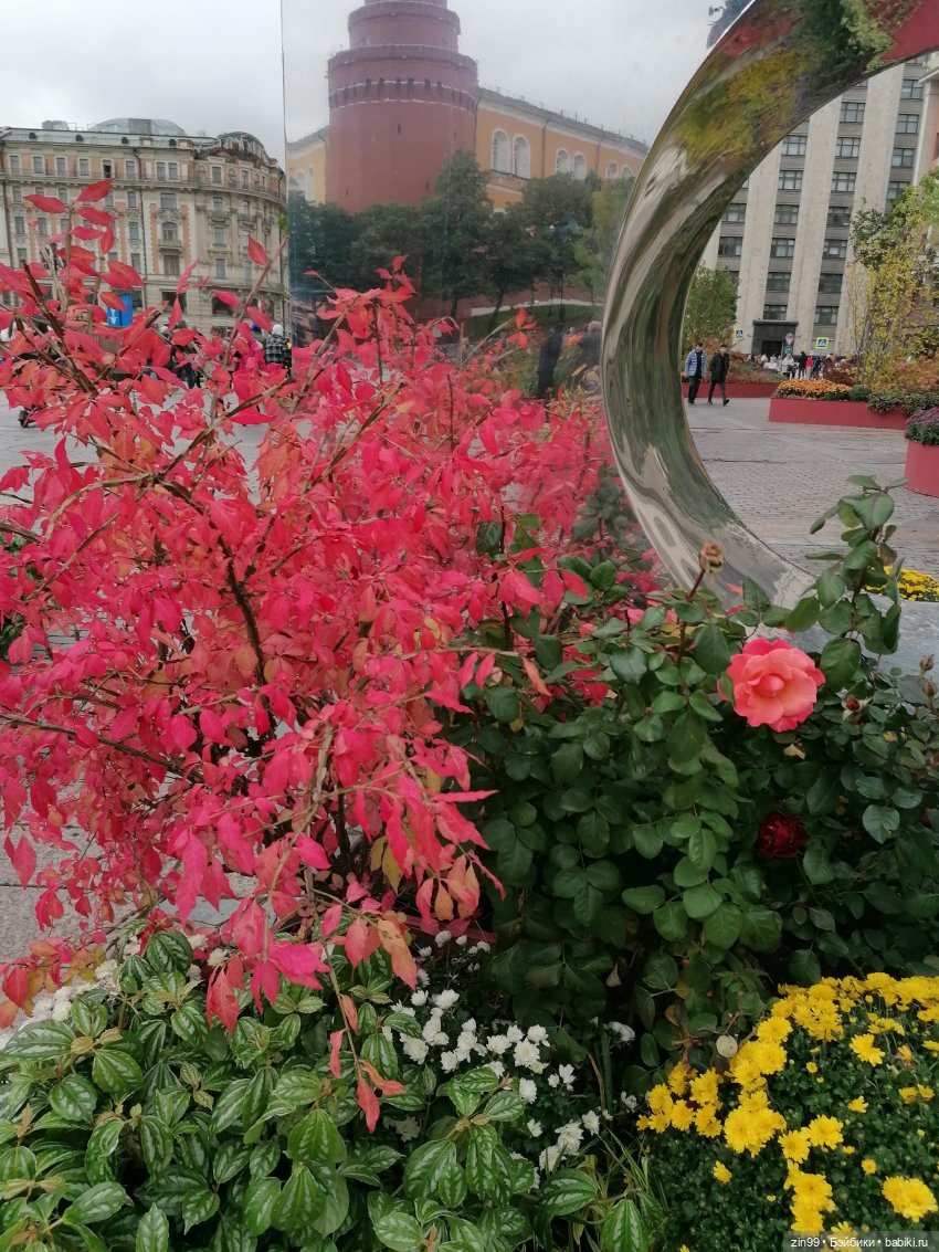 Осень в центре Москвы и на Манеже тоже | Бэйбики Осень в центре Москвы и на Манеже тоже