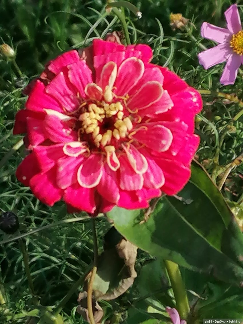 Осень в центре Москвы и на Манеже тоже | Бэйбики Осень в центре Москвы и на Манеже тоже