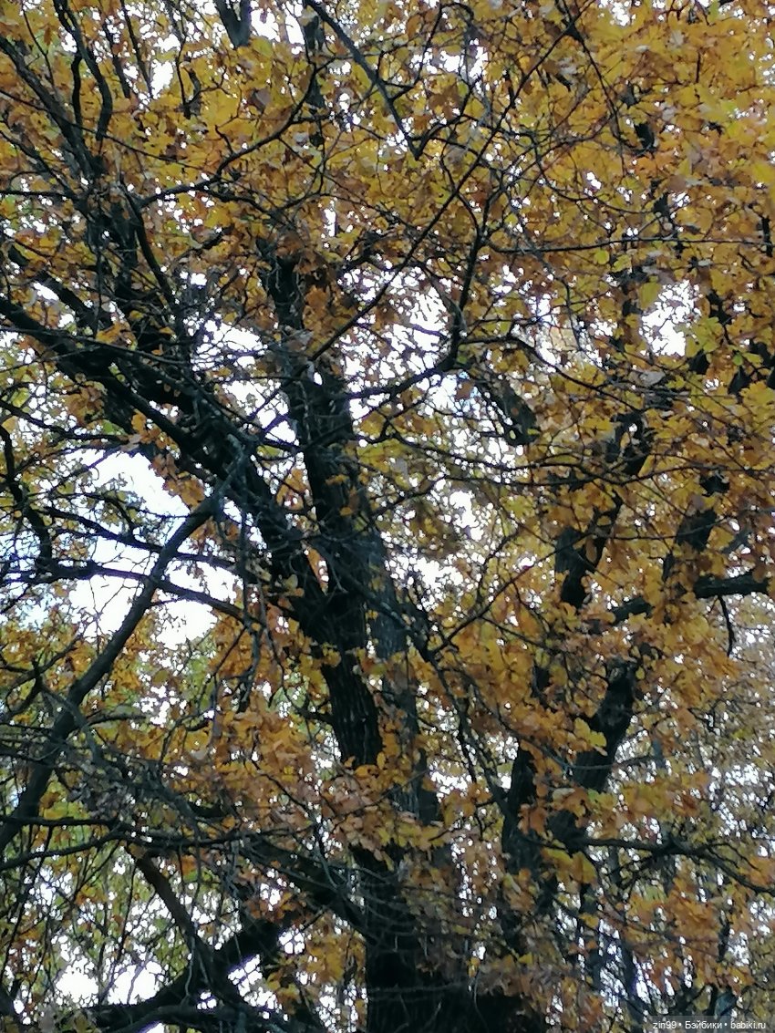 Осень в парке — Куклы Baboliy (Баболи (фото 8)