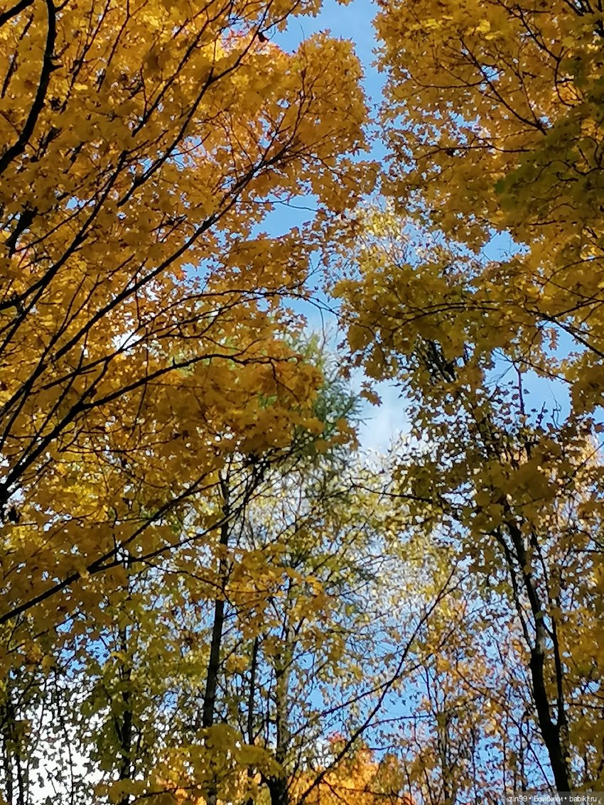 Осень в парке — Куклы Baboliy (Баболи