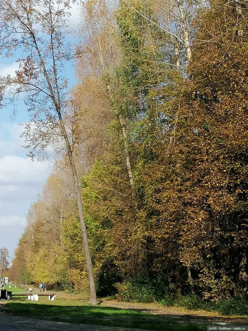 Осень в парке — Куклы Baboliy (Баболи (фото 10)